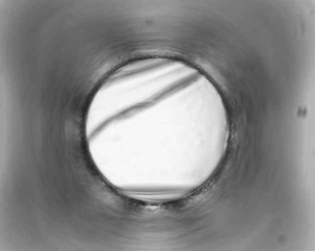 X0000093120111200710241311