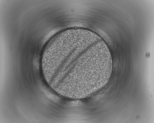 X0000093120112200710241311