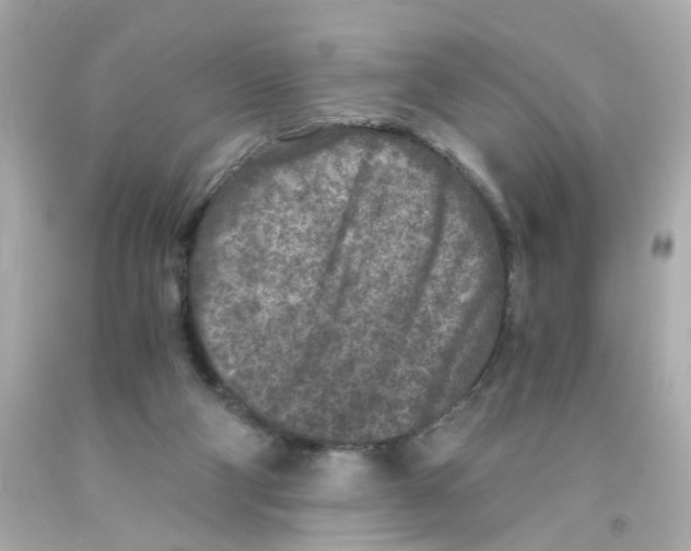 X0000093120114200710241311