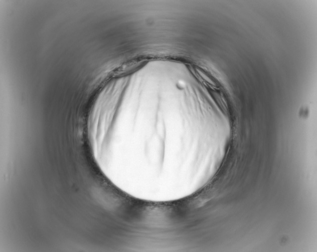 X0000093120115200710241311