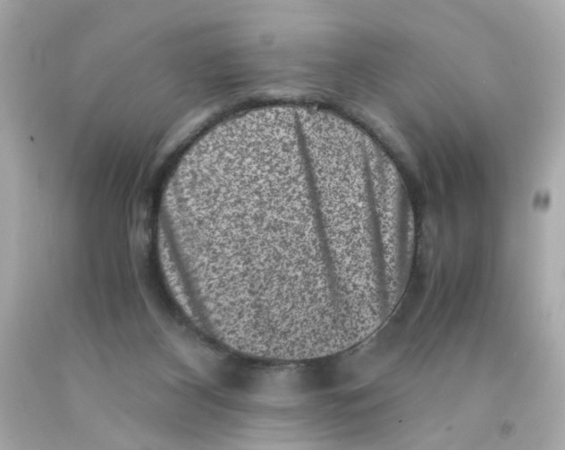 X0000093120116200710241311