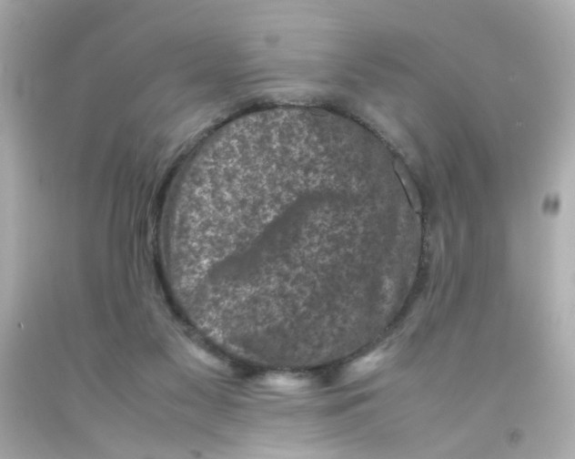 X0000093120117200710241311