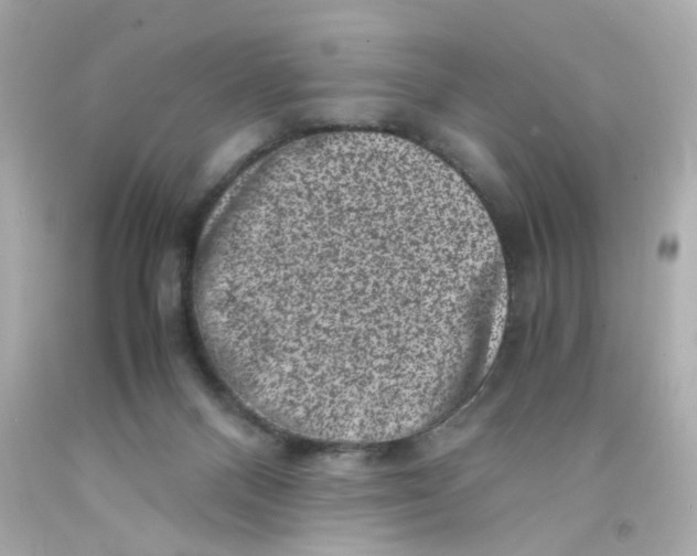 X0000093120120200710241311