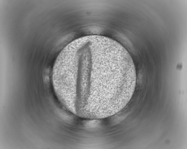X0000093120122200710241311