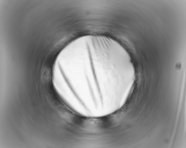 X0000093120123200710241311