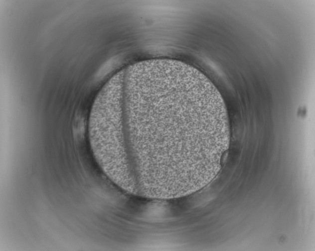 X0000093120124200710241311