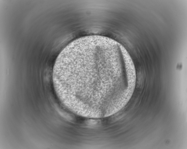 X0000093120126200710241311