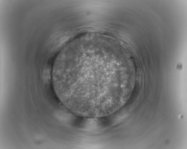 X0000093120127200710241311