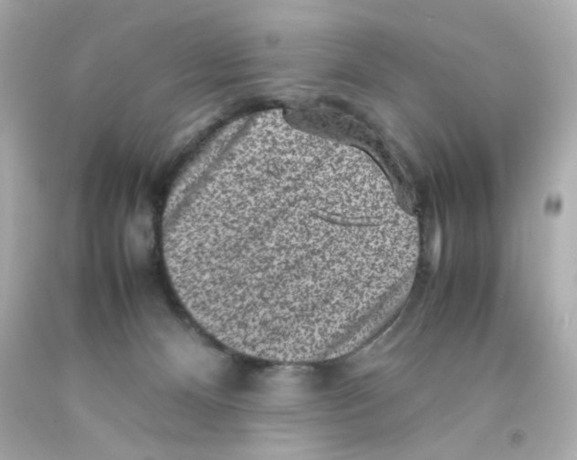 X0000093120128200710241311