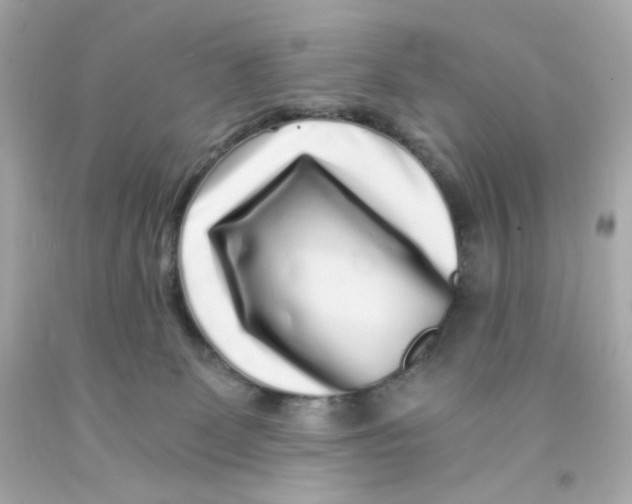 X0000093120131200710241310