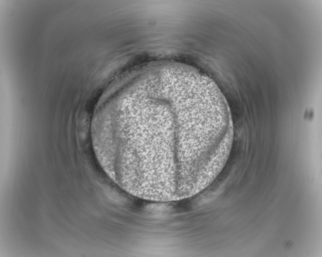 X0000093120133200710241310