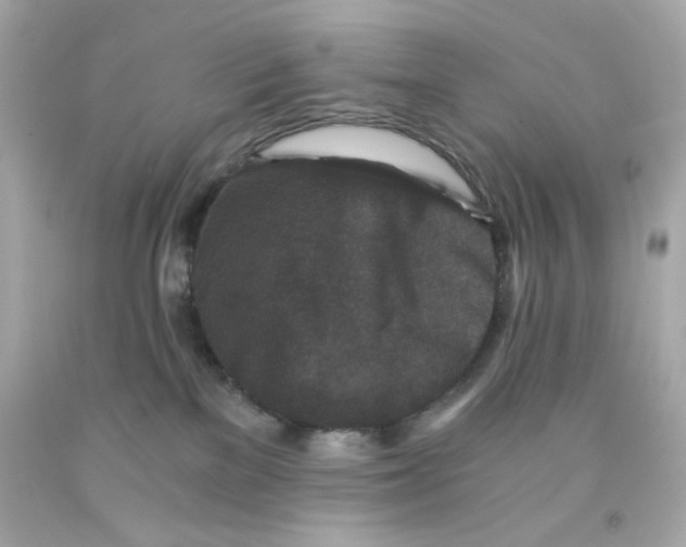 X0000093120137200710241310