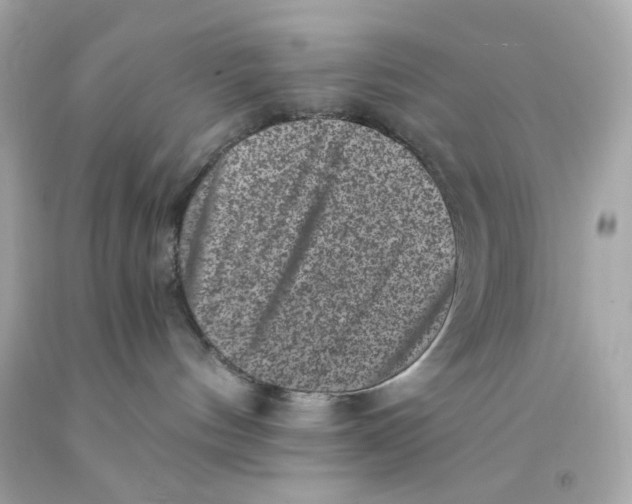 X0000093120144200710241310