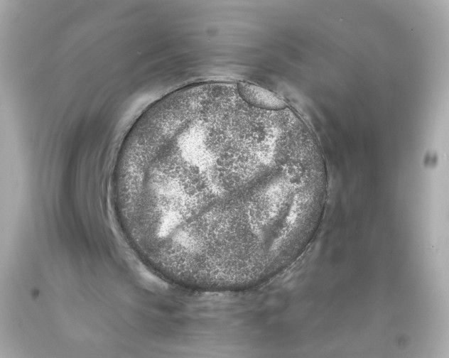 X0000093120145200710241310