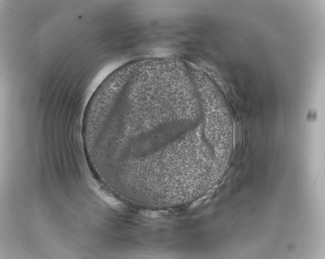 X0000093120147200710241310