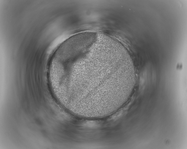 X0000093120149200710241310