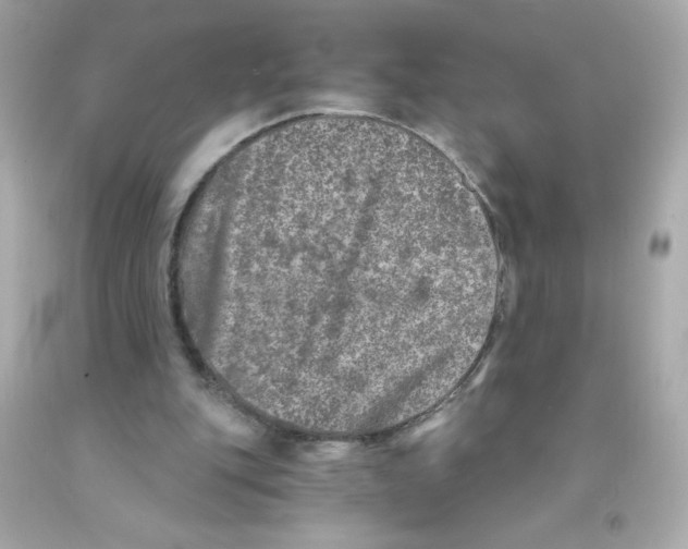 X0000093120151200710241310