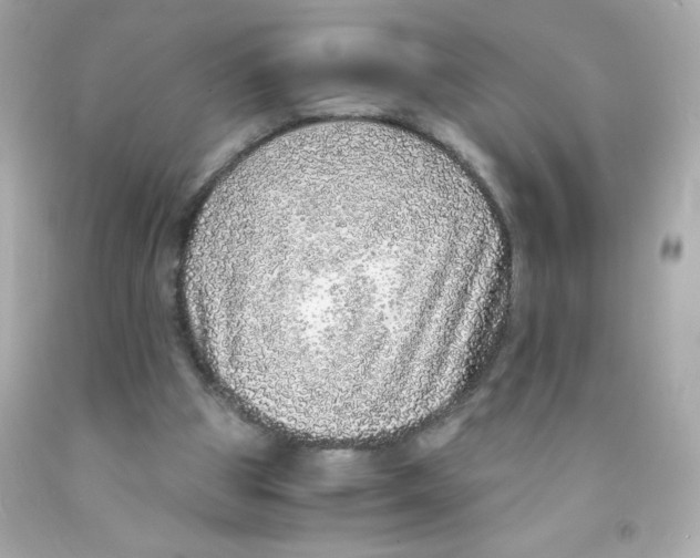 X0000093120153200710241310