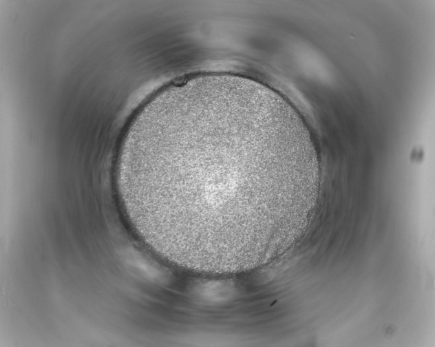 X0000093120155200710241310