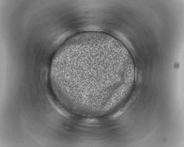 X0000093120157200710241310