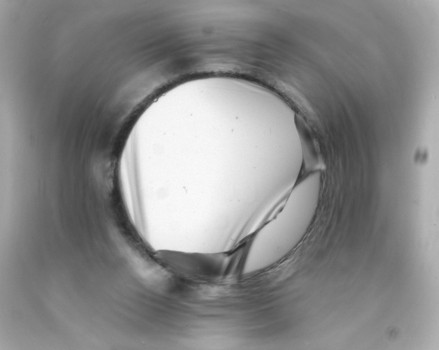 X0000093120160200710241310