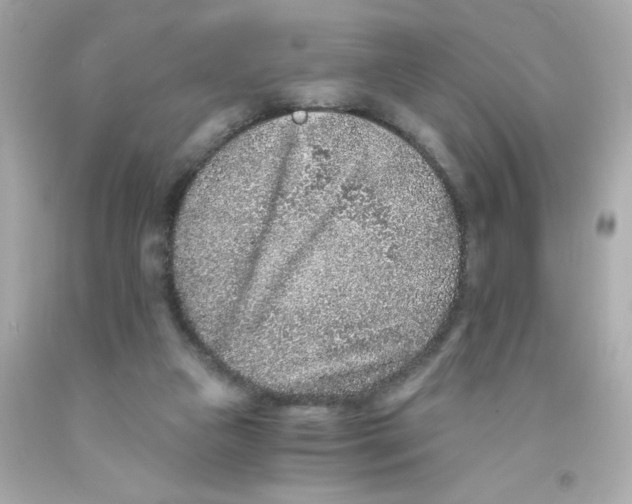X0000093120161200710241310