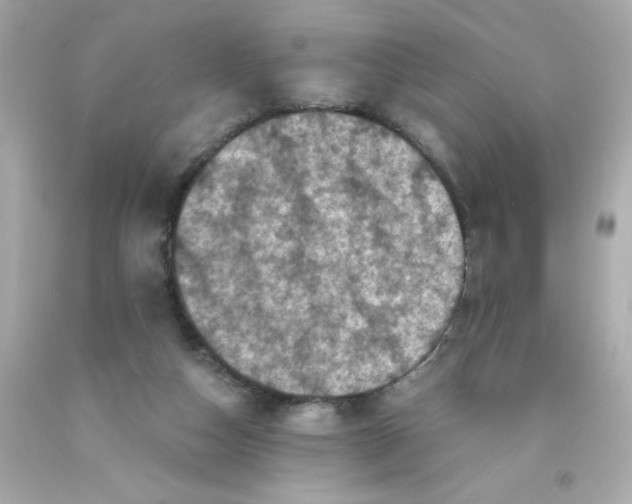 X0000093120162200710241310