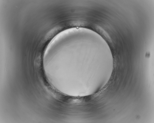X0000093120163200710241310