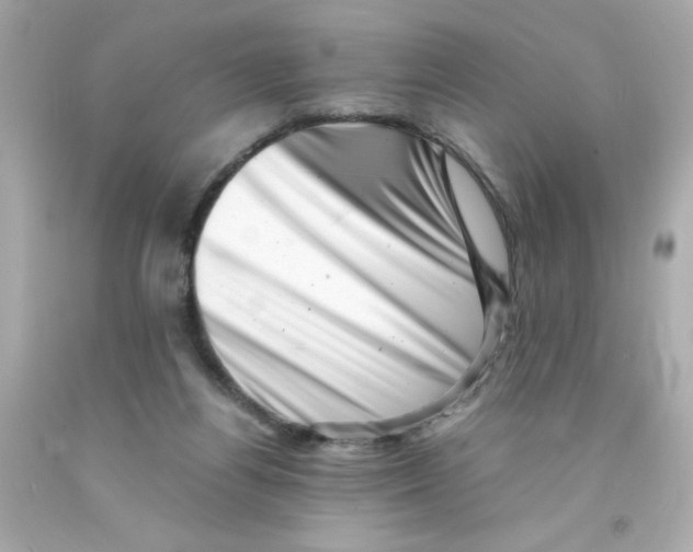 X0000093120164200710241310