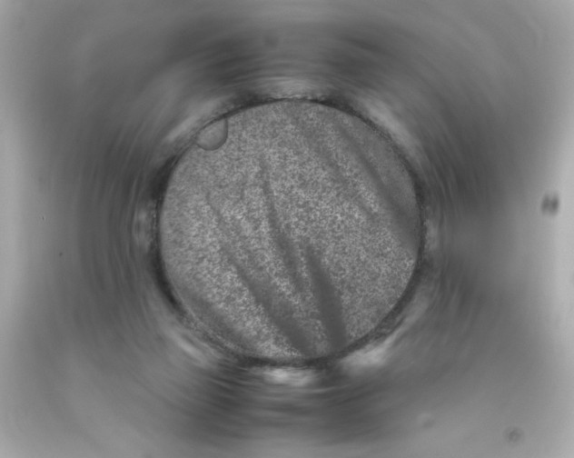 X0000093120165200710241310