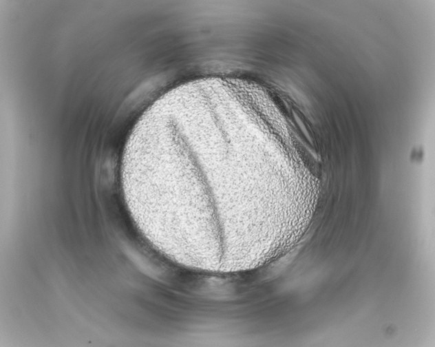 X0000093120166200710241310