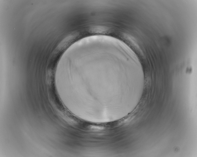 X0000093120167200710241310