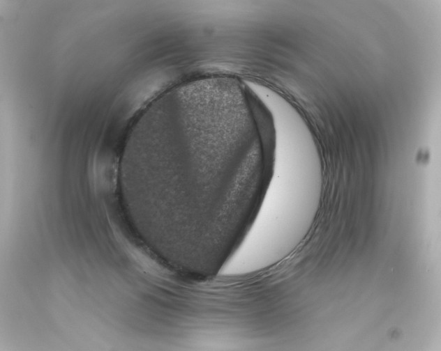 X0000093120168200710241310