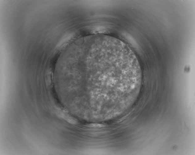 X0000093120169200710241310