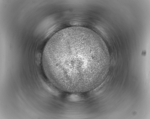 X0000093120171200710241310