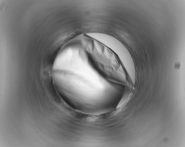 X0000093120172200710241310