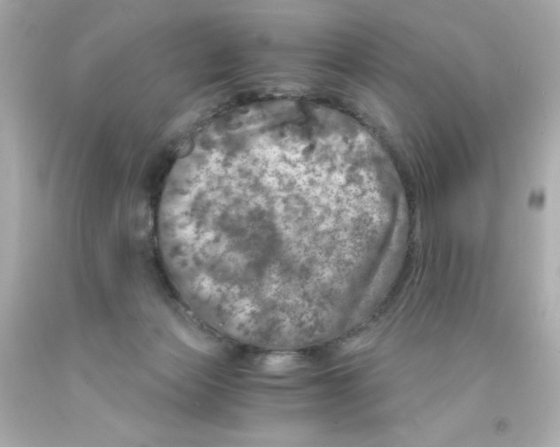 X0000093120173200710241310