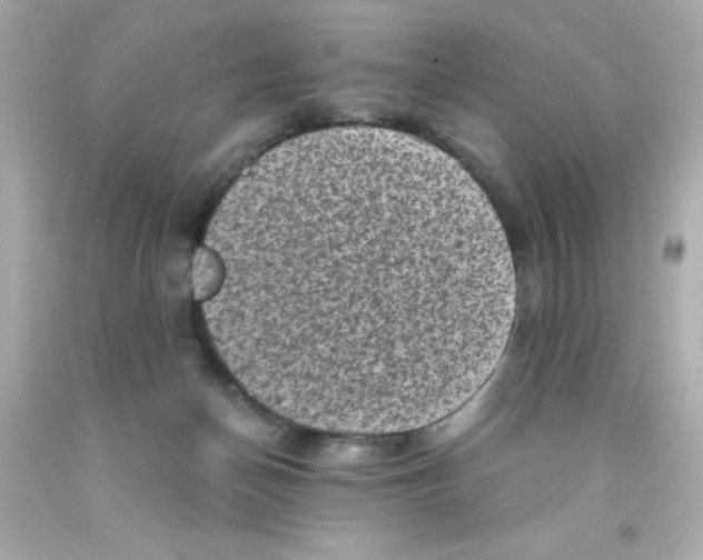 X0000093120174200710241310