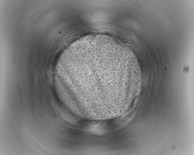 X0000093120175200710241310