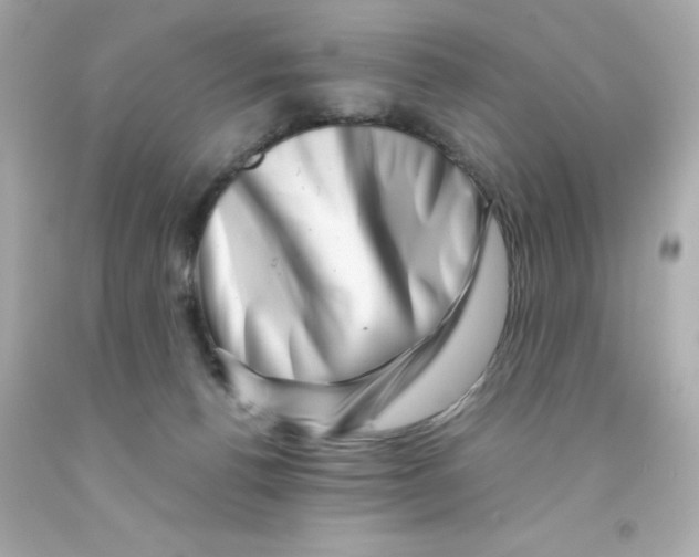 X0000093120176200710241310