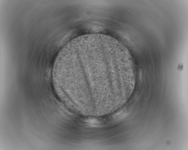X0000093120177200710241310