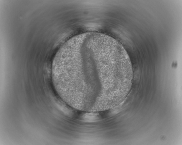 X0000093120179200710241310
