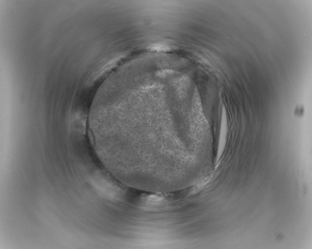 X0000093120180200710241310