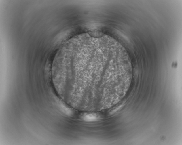 X0000093120181200710241310
