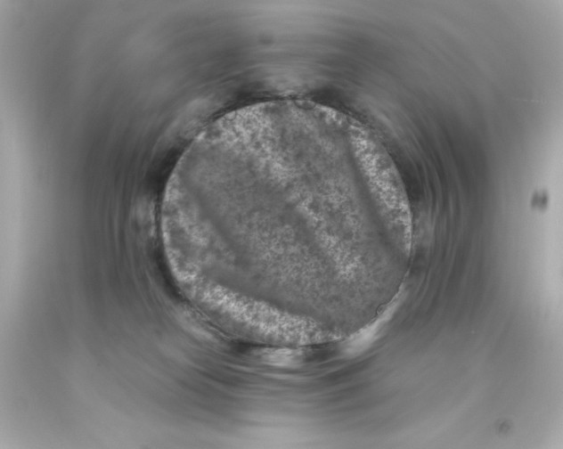 X0000093120182200710241310
