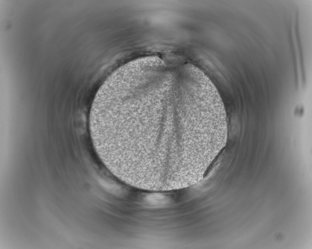 X0000093120183200710241310