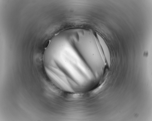 X0000093120184200710241310