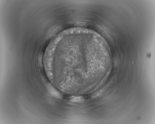X0000093120185200710241310