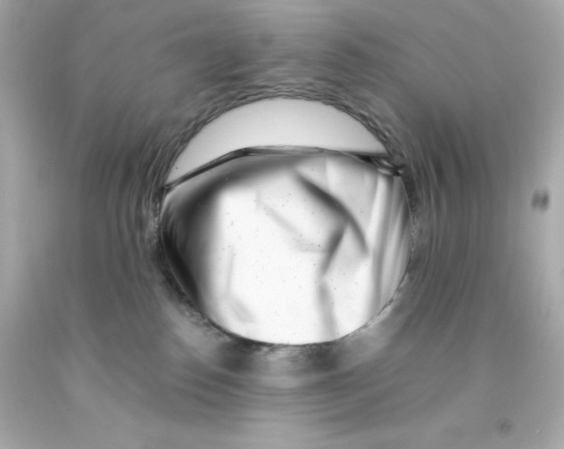 X0000093120186200710241310