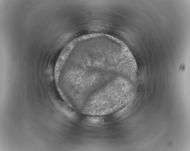 X0000093120187200710241310